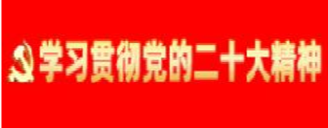 学习贯彻党的二十大精神专题